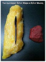 post-5485-0-54550400-1409215172_thumb.jpg