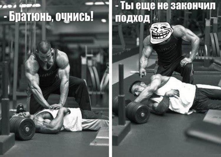 c1f87e29ebbad9acfc14878e3bf20646.jpg